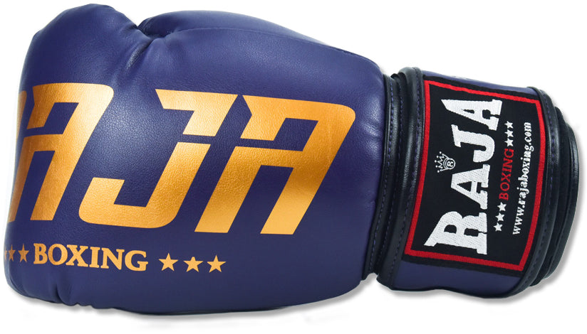 Raja Boxing Glove Semi-Leather RBGV-2 (Dark Purple)-Australian Fight Factory